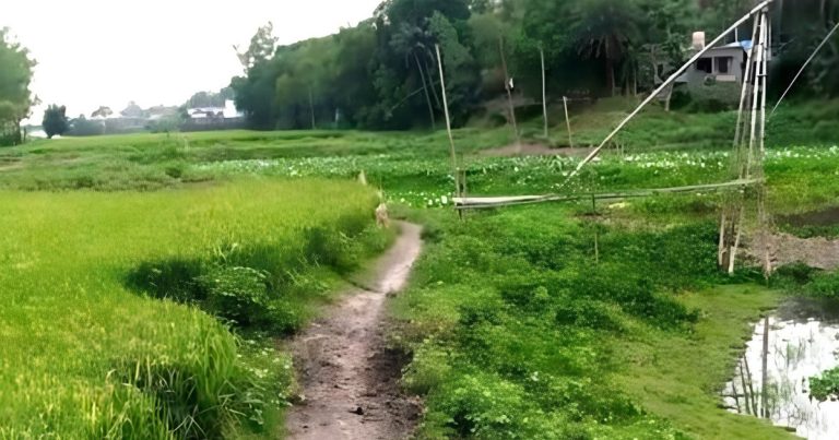 ১৯৮৮ সালের বন্যায় ভেঙে পড়া সেতু আজও তৈরি হয়নি, দুর্ভোগে পড়েছে ৮টি গ্রাম