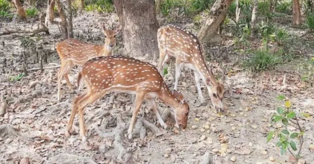 Fab620007c9cdb8da12c714dfda65427 6ae39f92c89c7