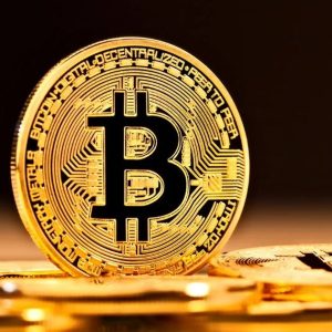 Ffa65e03c557e03850e81893321779d1 6ae445e059048
